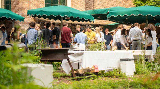 Young M&A Summer Drinks 2025