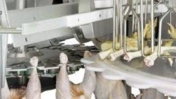 Sequoia, Loyens & Loeff en Ernst & Young adviseren Warren Buffett bij overname Meyn Food Processing