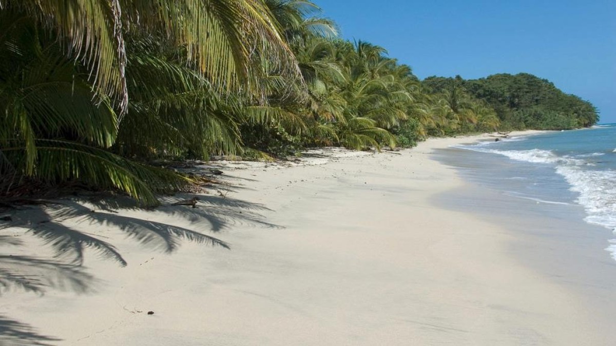 Caraïbische eilanden Epstein in de verkoop