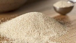 Cosun en Oost NL investeren in Wageningse start-up