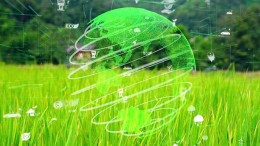 Dit is 'net positive' investeren volgens Paul Polman