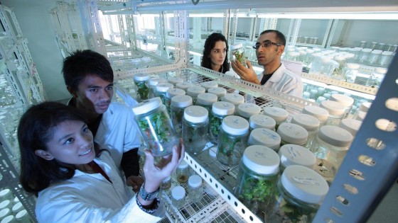 Nieuw fonds voor schone biotech haalt 75 miljoen op