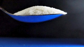 JOZO-zout komt in Franse handen door overname