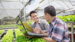 Sectoranalyse Agricultuur 'Bedrijven moeten snel zorgen dat ze top-3 speler worden'