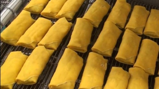 Antea stapt in fabrikant van loempia en spekkoek