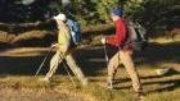 Meer fusies en overnames van online en specialistische reisorganisaties