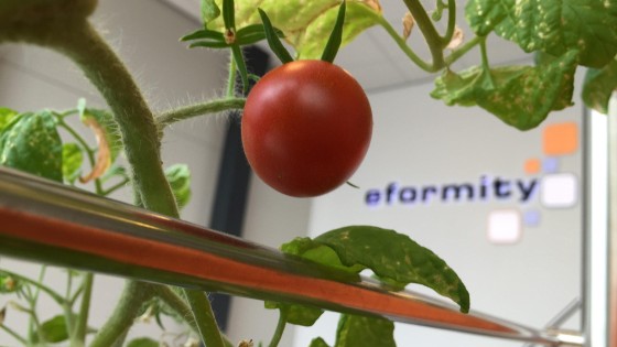 Dochter Main Capital neemt overnameprooi mee Europa in