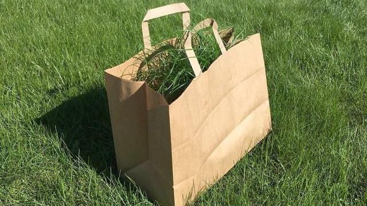 Mentha investeert in Multitubes Group