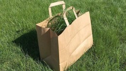 Mentha investeert in Multitubes Group