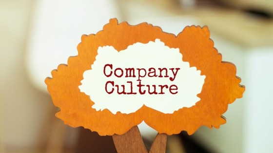 De cultuurfactor in M&A – deel 4: Zo creëer je cultureel eigenaarschap in een portfolio-onderneming