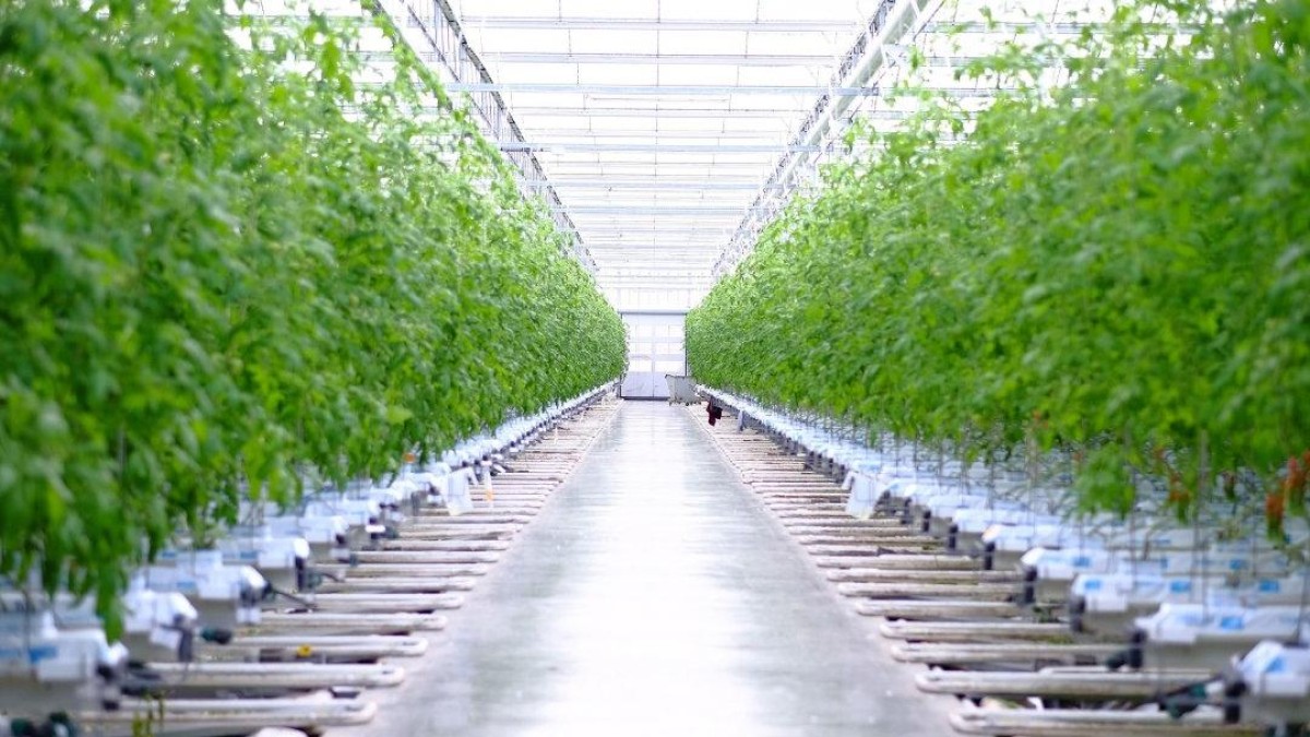 Investeringscoöperatie Horticoop stapt in agiofabrikant