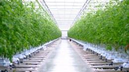 Investeringscoöperatie Horticoop stapt in agiofabrikant