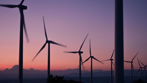 'Japanners stappen in Hollandse windmolens'