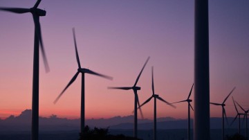 'Japanners stappen in Hollandse windmolens'