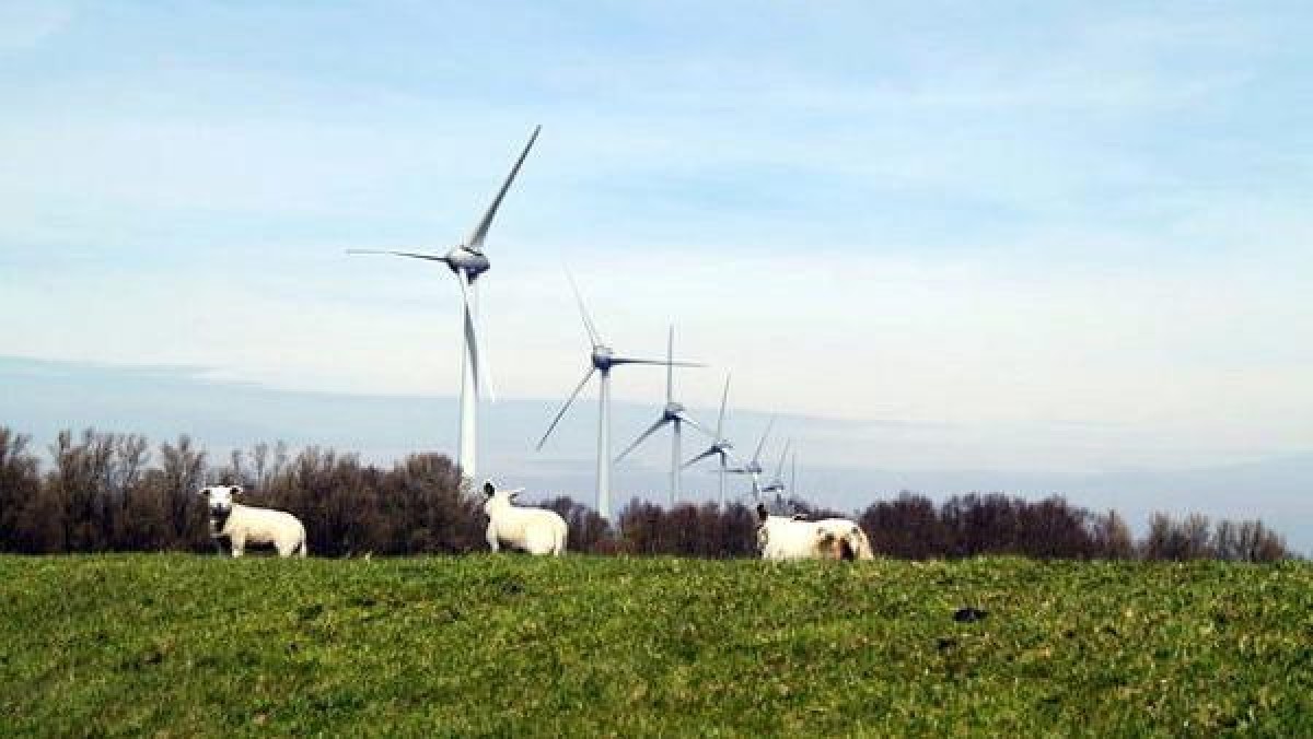 Rudolf Stegink KPMG Corporate Finance: Veel buitenlandse interesse bij verkoop Zeeuws windmolenpark