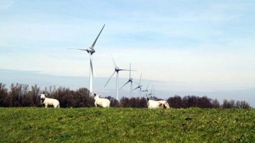 Rudolf Stegink KPMG Corporate Finance: Veel buitenlandse interesse bij verkoop Zeeuws windmolenpark