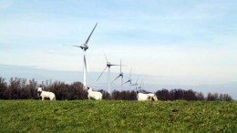 Rudolf Stegink KPMG Corporate Finance: Veel buitenlandse interesse bij verkoop Zeeuws windmolenpark