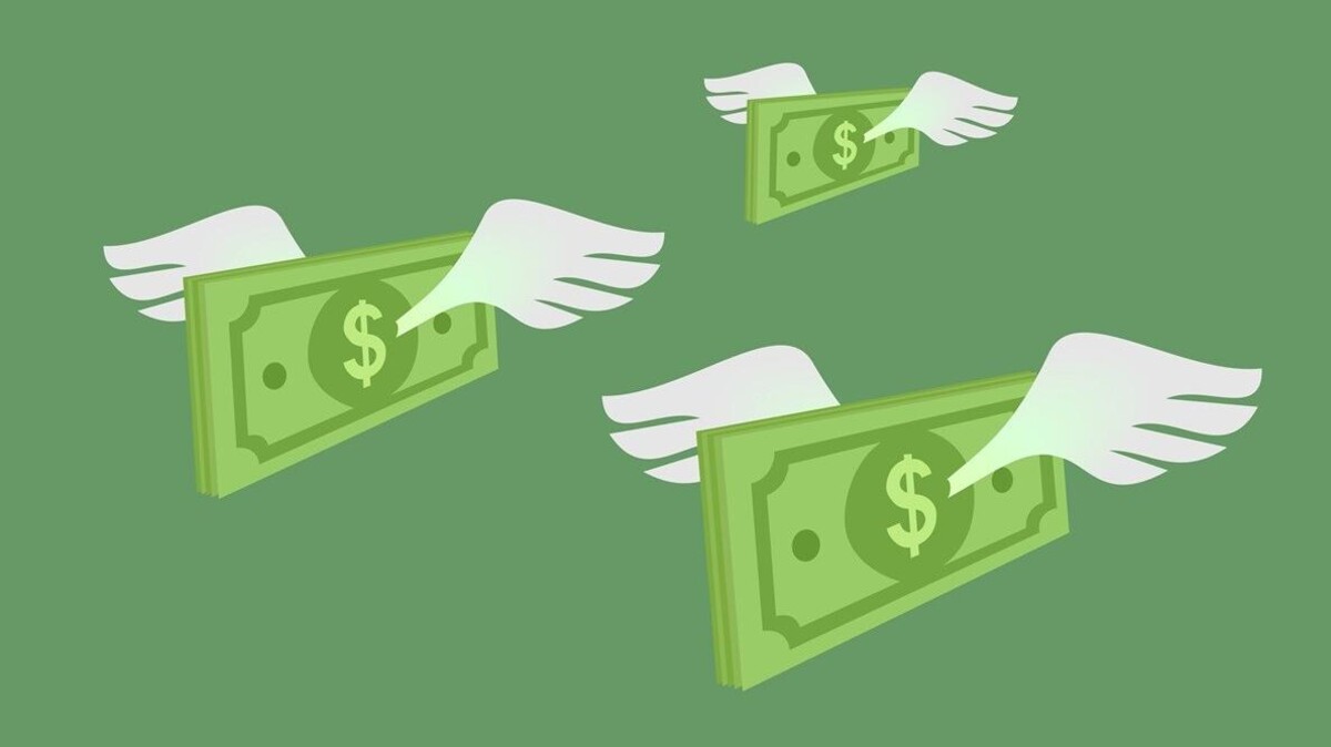 Dollar-briefjes met vleugels vliegen weg.