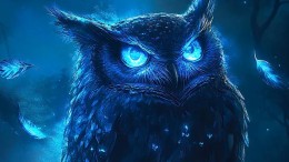 Zorgen groeien bij economen over risico's van private credit