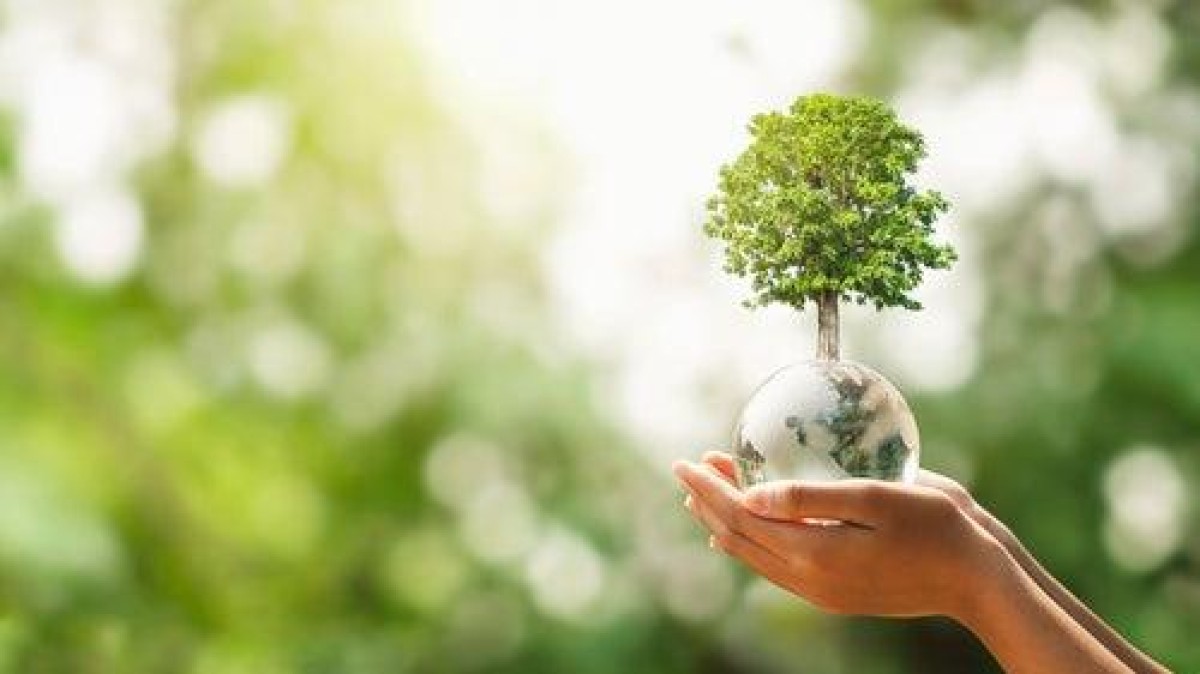 Miljoenen van Invest-NL naar Amerikaans VC-fonds voor groene tech