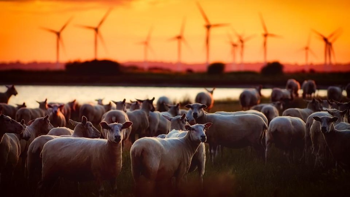 Crowdfunding voor overname Eneco heeft nog een lange weg te gaan