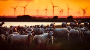 Crowdfunding voor overname Eneco heeft nog een lange weg te gaan