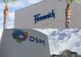 DSM onderaan in AEX na onderzoek bij Zwitserse fusiepartner