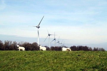 Aegon investeert via joint venture 45 miljoen in Duits windpark