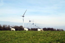 Aegon investeert via joint venture 45 miljoen in Duits windpark