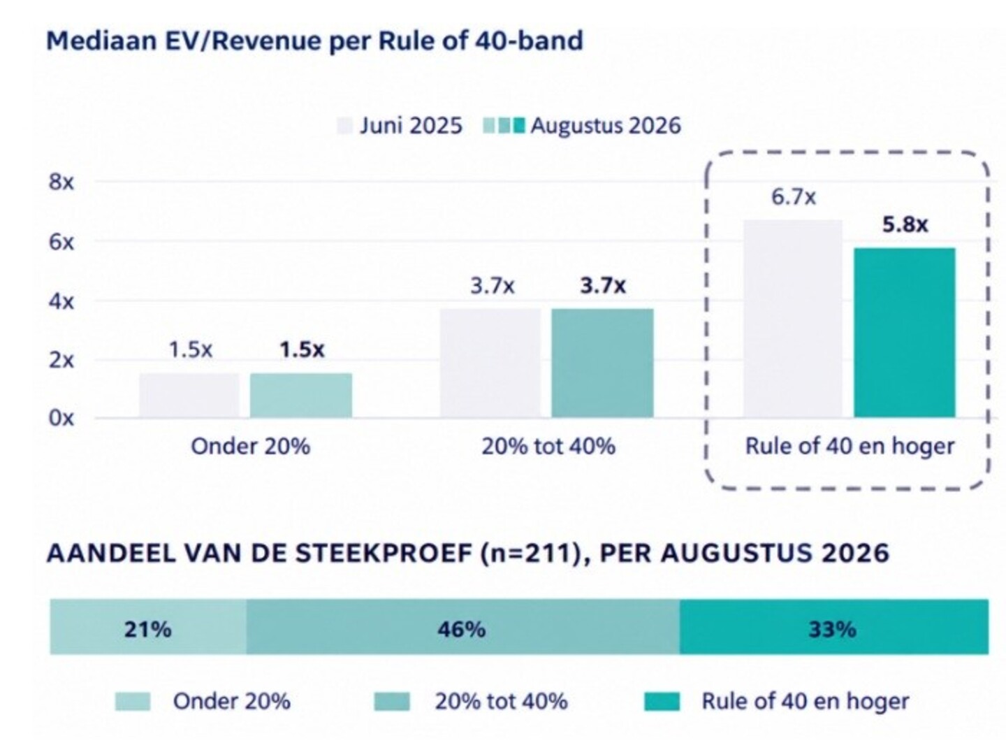 Overzicht revenues softwarebedrijven.