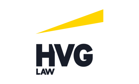 Logo van HVG Law
